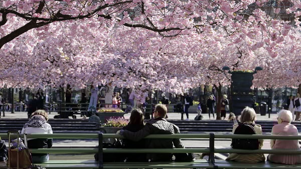 Volvo showroom i Kungsträdgården – banbrytande inom bilbranschen